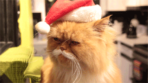 these-times-shall-pass:  baby animal posts daily