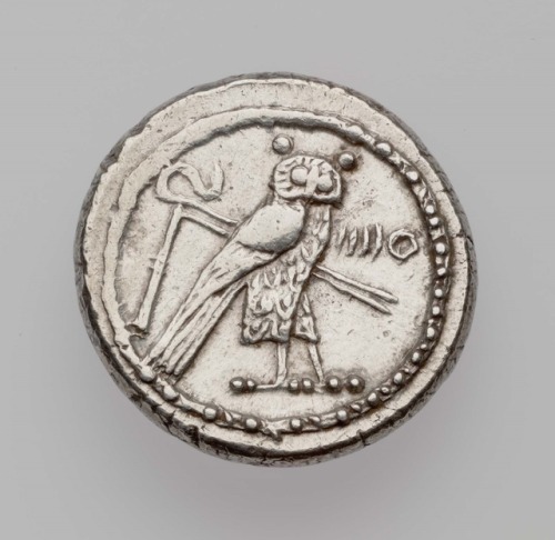 ancientanimalart:Shekel of Tyre with Melqart riding hippocampGreekLate Classical to Early Hellenisti