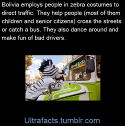 vancity604778kid:  ultrafacts:  In La Paz, Bolivia not only is traffic a loud, crazy nightmare, but it’s also pretty scary to try and cross the road as a pedestrian. The solution the city has come up with is to start the traffic zebra program. Source