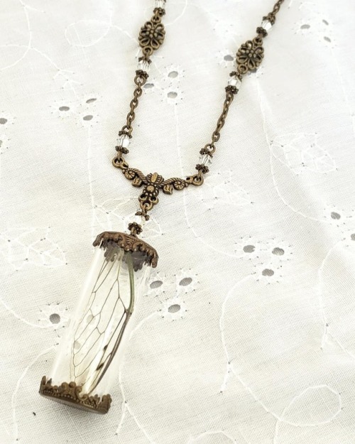 Memories of Summer Necklace. Delicate and a bit grim this necklace features a real Cicada wing set i