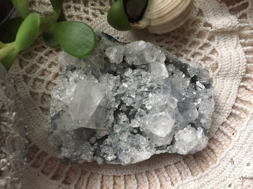 floralwaterwitch:I found this pretty apophyllite cluster during a small summer festival with my sist
