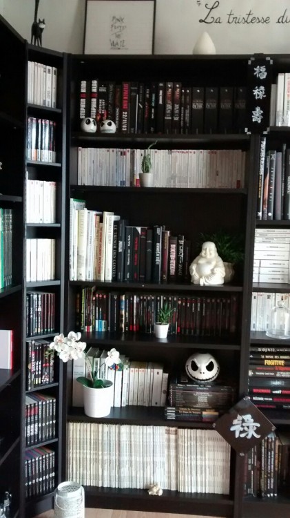 moluskette:That’s it, I think I’m done with it! Final layout of my home library.I bought a bamboo, a