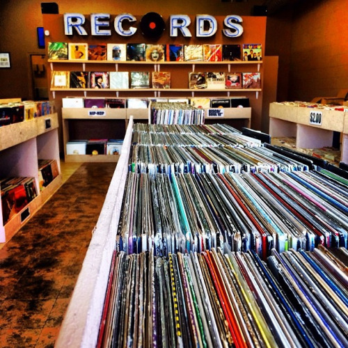 vinyland