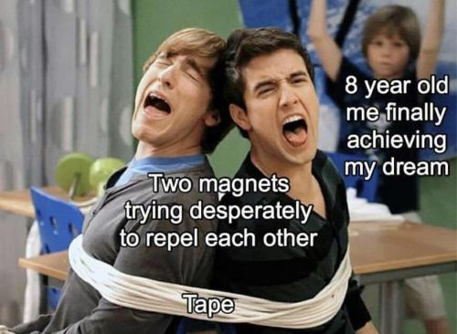 notcorrectwitcher:rubykgrant:squided:newtonpermetersquare:Magnets: I want to commit diamagnetichow d