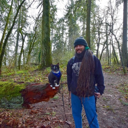 Out exploring the park and Pickles found a fallen tree! Logs are the cats favorite to explore when o