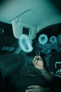 dank-city:  Let’s hotbox at Dank City ➙