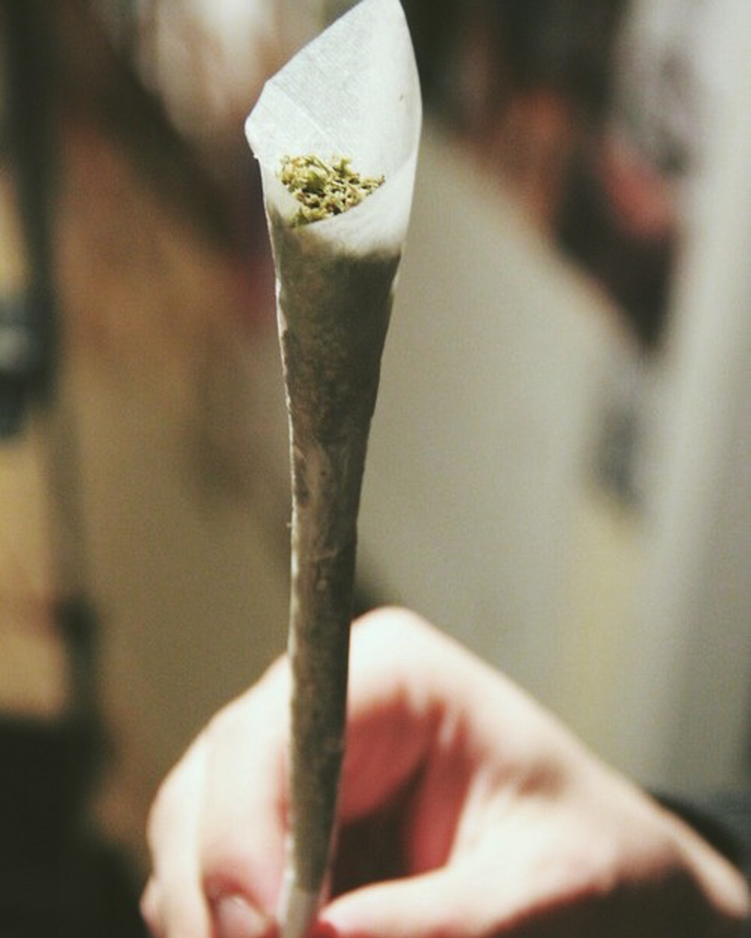 roll-it-smoke-it:🍍 weed 💛