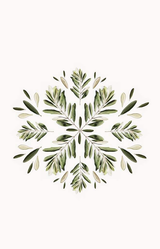 delta-breezes:Botanical Patterns | CoCorrina