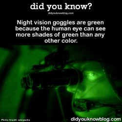did-you-kno:  Night vision goggles are green