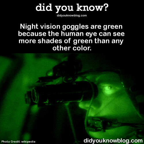 did-you-kno:  Night vision goggles are green because the human eye can see more shades of green than any other color. Source