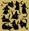 libbyframe:Cat witch party 