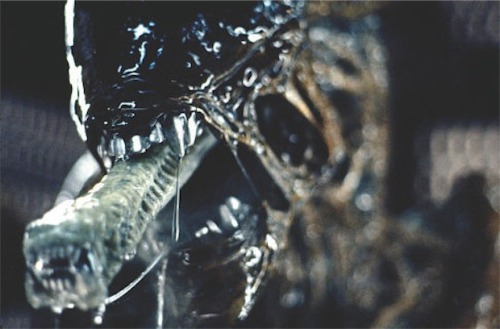 scififorbiddenzone:Alien (1979)