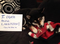 dogshaming:  Winter is coming  Sign reads