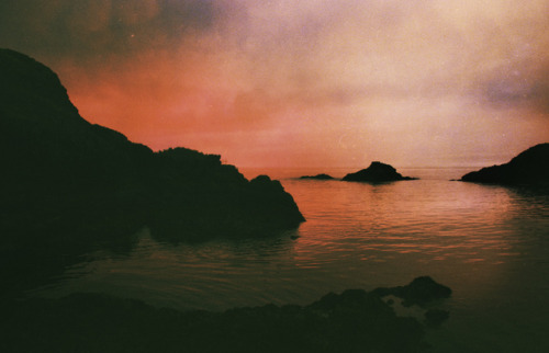 mydarkenedeyes:Samantha Muljat
