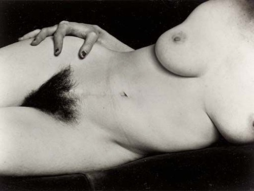 airotique:  cartopus:  Edward Weston ph.  Bush is beautiful :)  Edward Weston