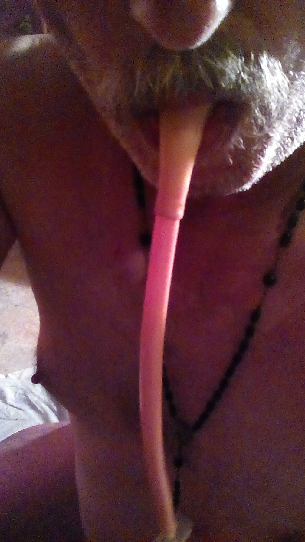 Sissyschwein Gebet2