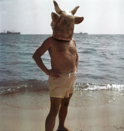 thedeathofcool:  Pablo Picasso in minotaur