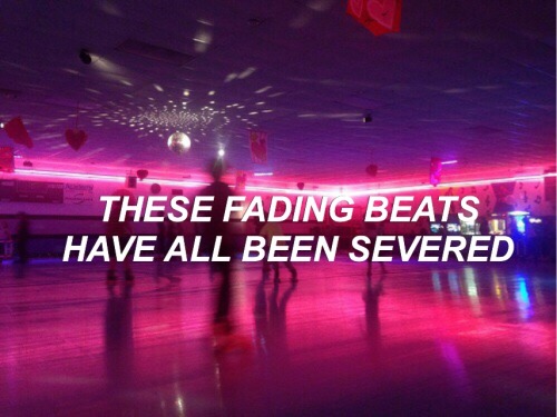 itsplumbee: Youth - Foxes