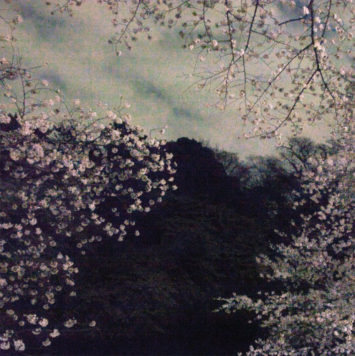 memoryslandscape: Ori Gersht, Tokyo Imperial Memories, After Midnight, 2010