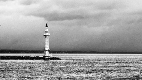 Light bird#switzerland #geneva #lake #lighthouse #bird #waves #clouds #blackandwhite #bnw #bnwphotog