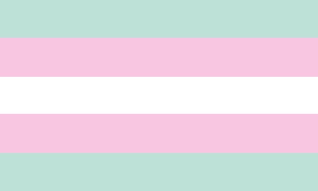 An image of a blank colour picked trans pride flag.
