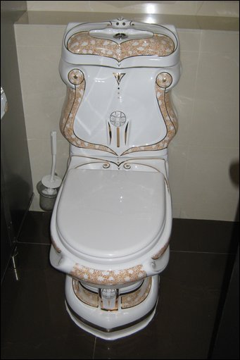 unnaturalist: Victorian Toilets