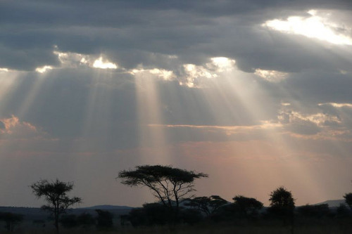 Tanzania, Serengeti Sunset by lalobamfw (More than One Million Views) on Flickr.