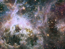 sci-universe:  This new Hubble image is the best-ever view of the Tarantula Nebula, a region full of star clusters, glowing gas, and dark dust. Astronomers are exploring and mapping this nebula as part of the Hubble Tarantula Treasury Project, in a bid