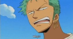 zorosantouryuu:  Roronoa Zoro /One Piece