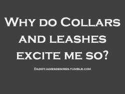 alphadaddydom:They excite you because I am the one holding the leash.  ~Daddy