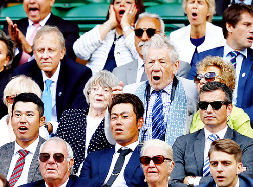 dontbesodroopy:Maggie Smith and Ian McKellen attend Wimbledon. Also known as McGonagall and Gandalf watch some tennis (12th July, 2017)