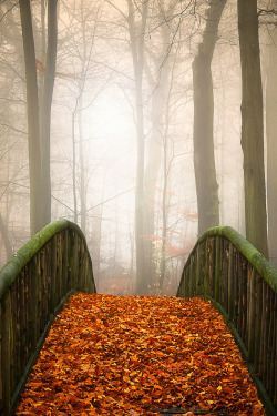 etherealvistas:  Autumn Morning by Roy Jankowski