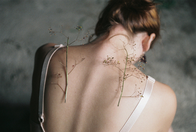 coldemi:  unbenannt by buiu on Flickr.