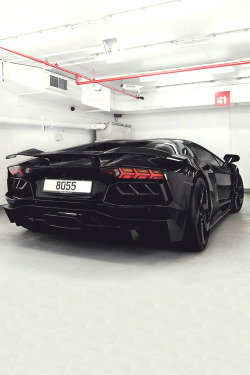 mistergoodlife:  BOSS Mansory