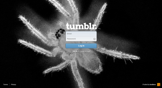 Tumblr media