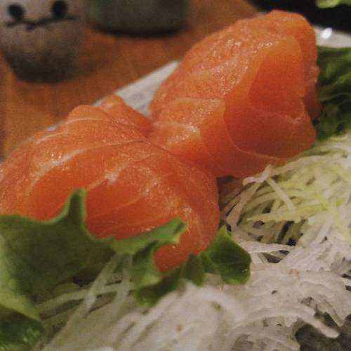 Salmon sashimi (at Yuraku Japanese Restaurant)