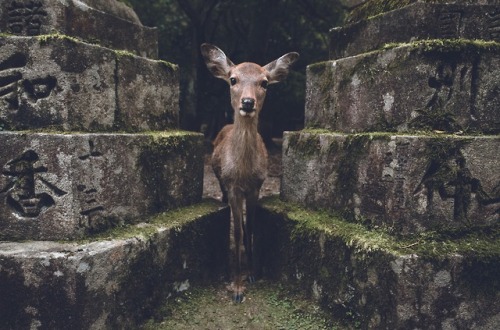 By Zach Allia