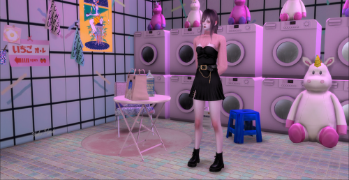 [kitty]Pink laundry roomThis is a scene for taking pictures.Furniture link included in the zip.Remem