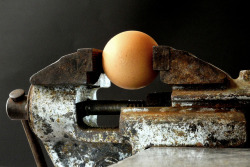 helloagauniverse:  An egg a day…. by Angelica Mischa on Flickr.  Челябинские хозяйки так суровы, что крошат яйца в салат в тисках.