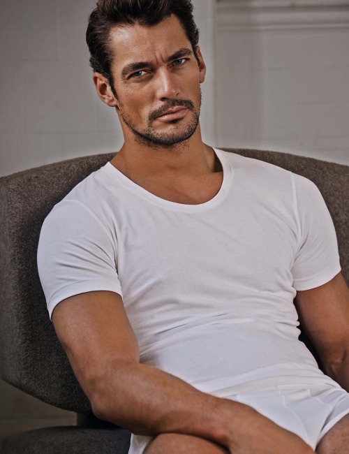 David gandy