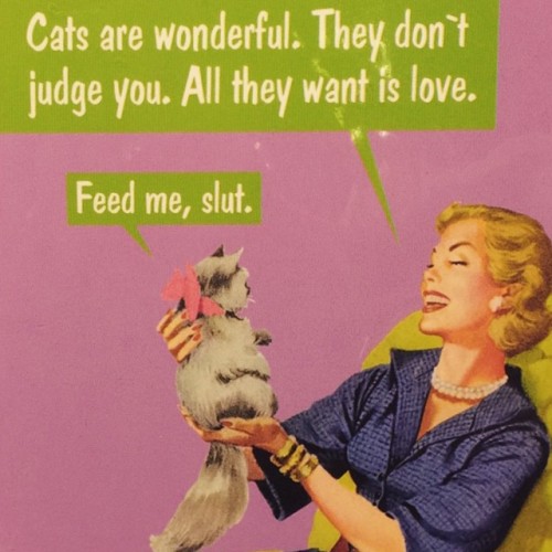 zixxie:  Saw this on a card today ahaha #fav #cat #funny