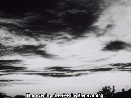 duoyen:Lost, lost, lost (1976), Jonas Mekas