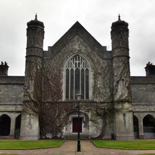 Spent my afternoon wondering rainy Galway #Ireland #Galway #oldchurch #vines (at Galway)