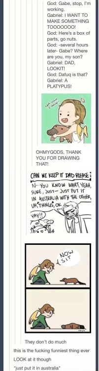 purplespottedsunnies:  itsstuckyinmyhead:  Australian Tumblr Photoset #13 Want to see more? American photoset #12   HahahaHahaHa …It is nice to live in Australia, I swear… …   Bruh was that an actual spider on dudes wall?