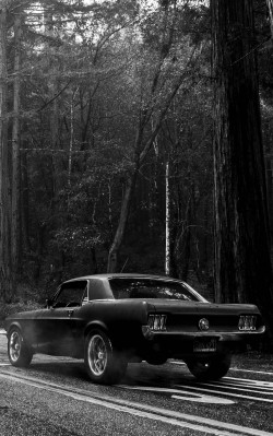 h-o-t-cars:  Ford Mustang | Source  