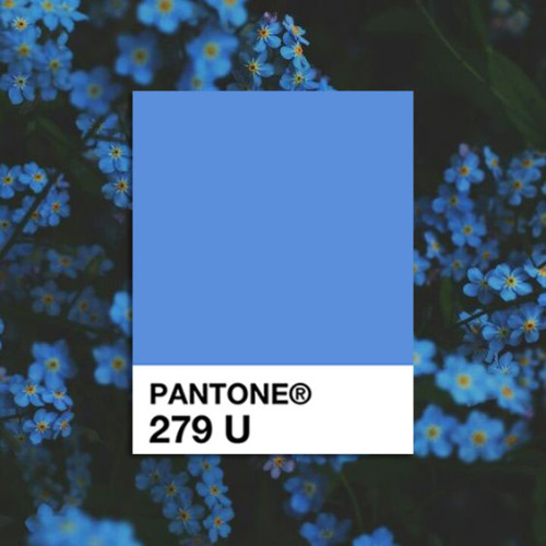 aslongasitsrealtoyou: Pantone colors x Flowers x Dan Smith part 3 (1, 2)