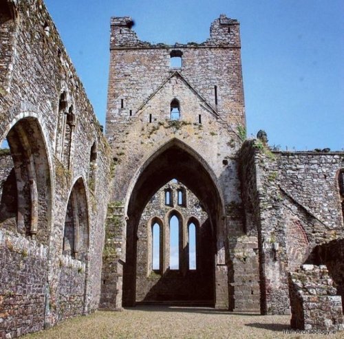 irisharchaeology: Inside the ruins of Dunbrody abbey, Co Wexford