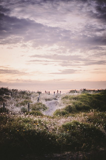 floralls:  New Zealand by DeepLovePhotography   