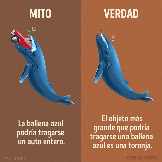 SUPER CACHONDEO
