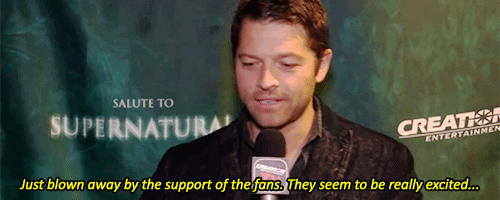 angvlicmish:Misha’s fan support